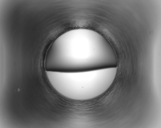 X0000088700640200705311017