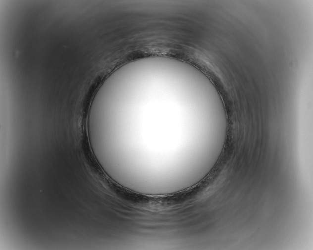 X0000088700641200705311017