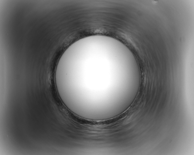 X0000088700643200705311017