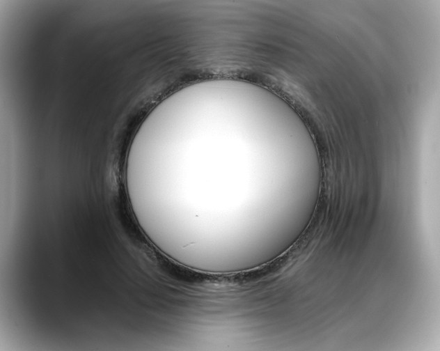 X0000088700644200705311017
