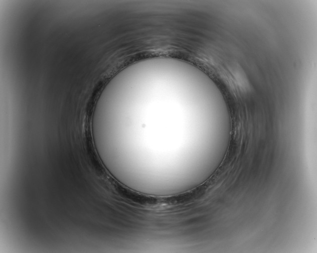 X0000088700647200705311017
