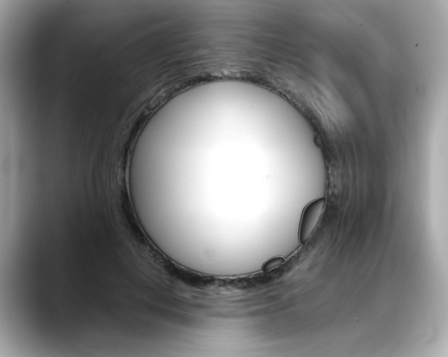 X0000088700648200705311017