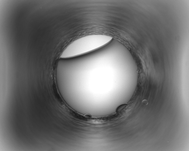 X0000088700654200705311017
