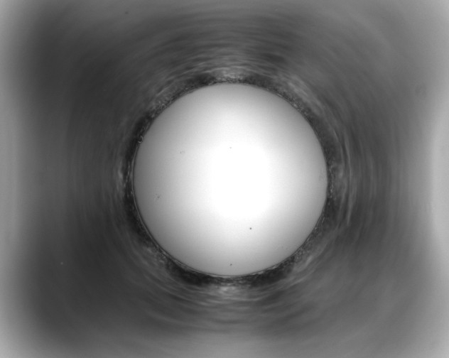 X0000088700655200705311017