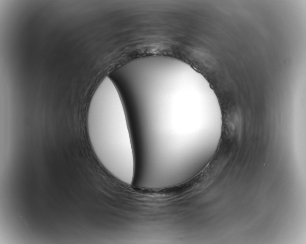 X0000088700657200705311017