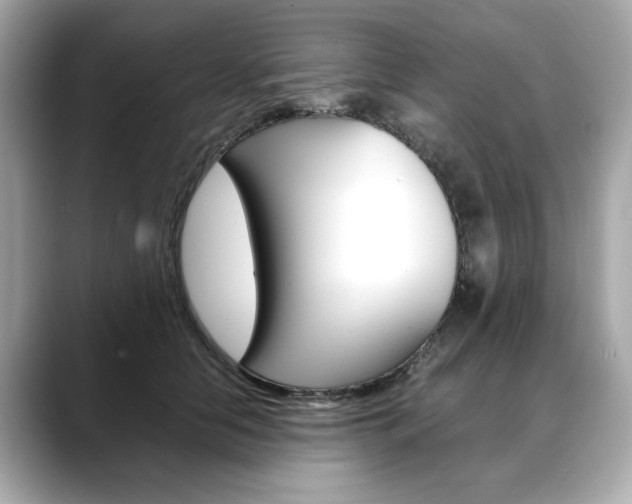 X0000088700658200705311017