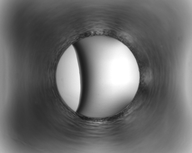 X0000088700661200705311017
