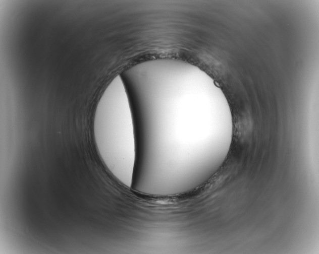 X0000088700662200705311017