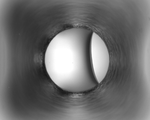 X0000088700664200705311017