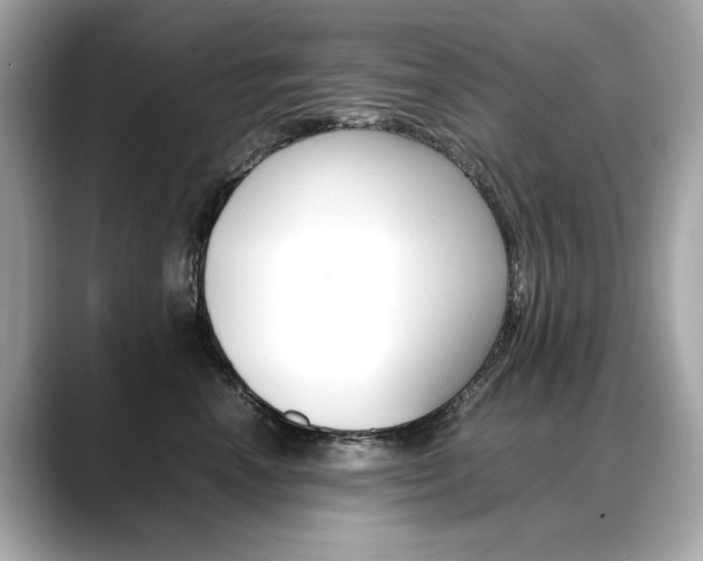 X0000088700666200705311017