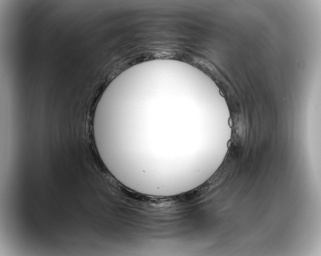 X0000088700667200705311017