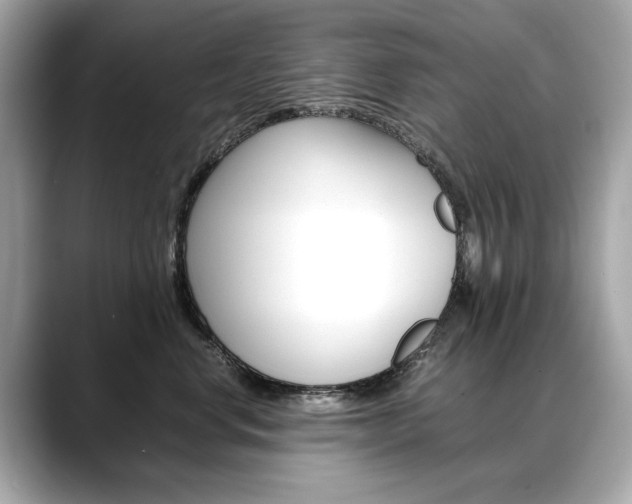 X0000088700668200705311017