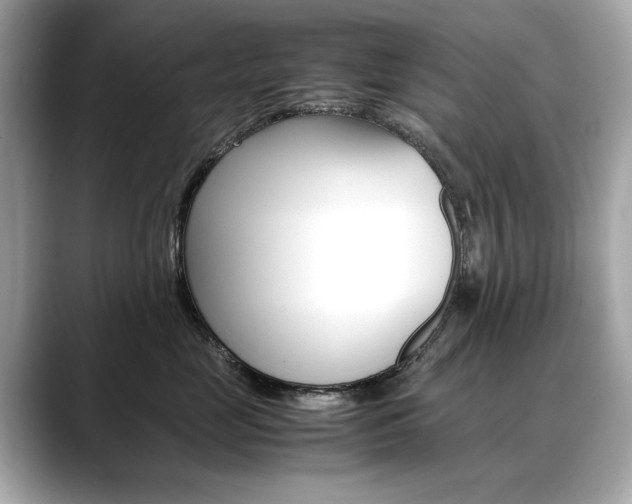 X0000088700669200705311017