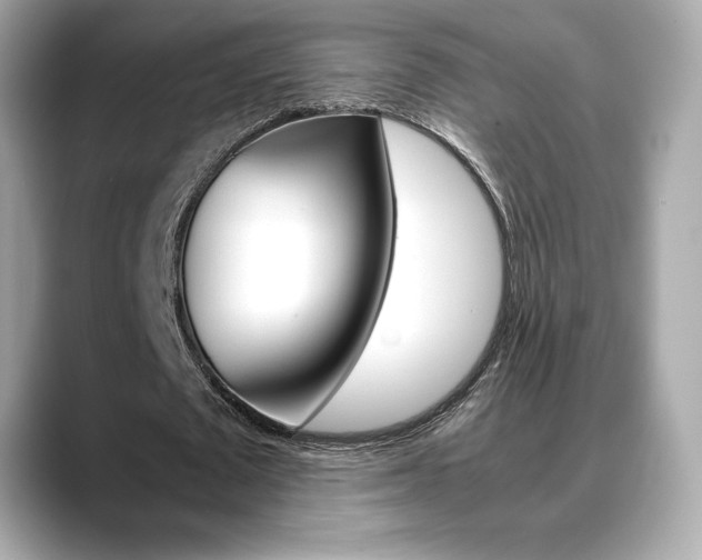 X0000088700673200705311016