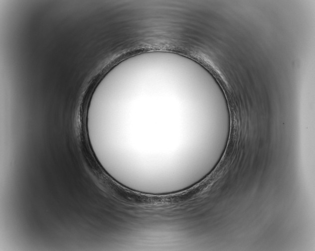 X0000088700674200705311016