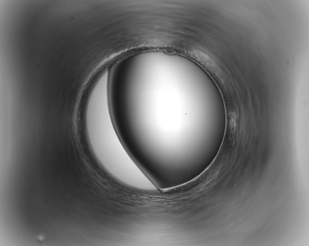 X0000088700676200705311016