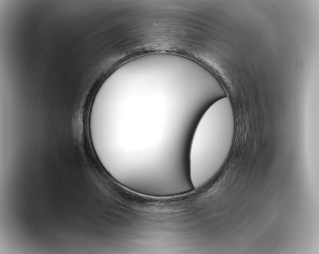 X0000088700678200705311016