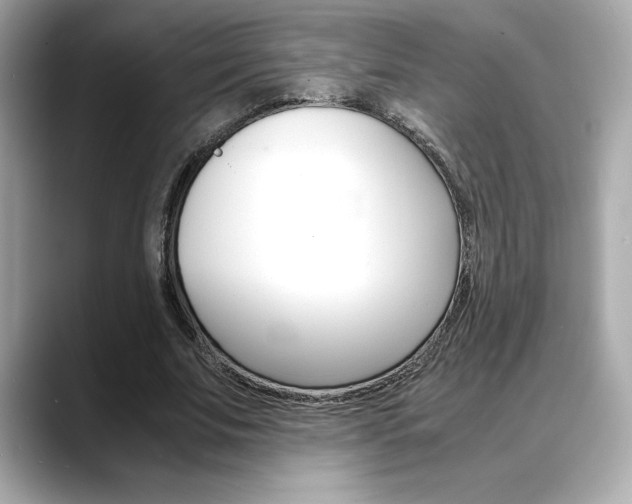 X0000088700679200705311016