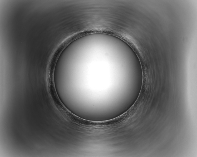 X0000088700680200705311016