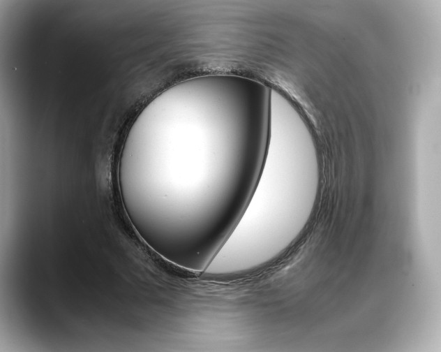 X0000088700681200705311016