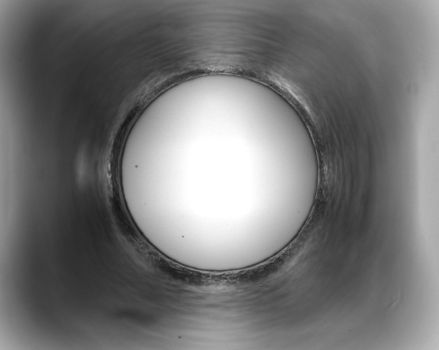 X0000088700682200705311016
