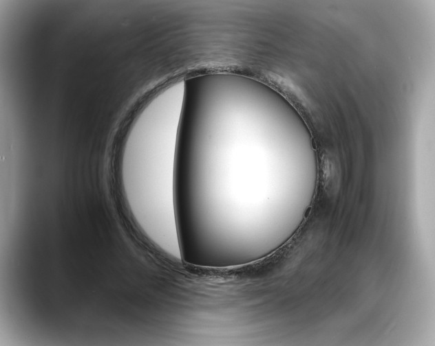 X0000088700684200705311016