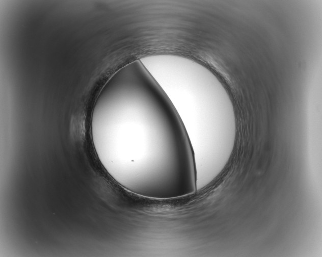 X0000088700685200705311016