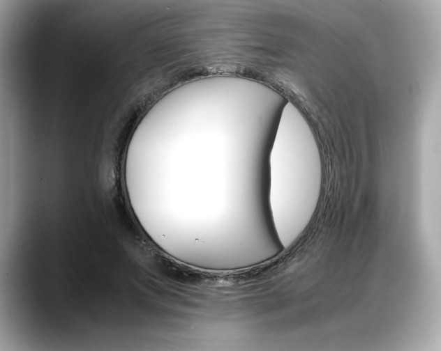 X0000088700687200705311016