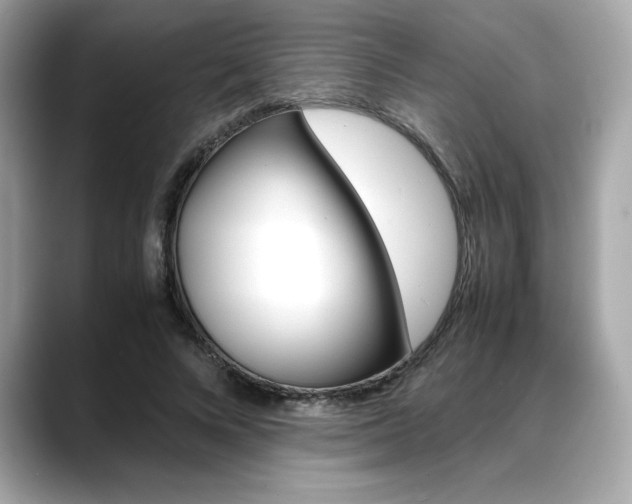 X0000088700688200705311016