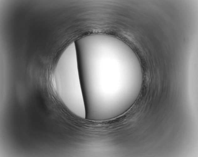 X0000088700691200705311016