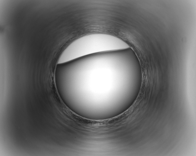 X0000088700692200705311016