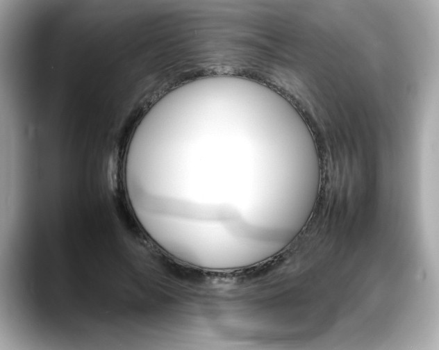 X0000088700694200705311016