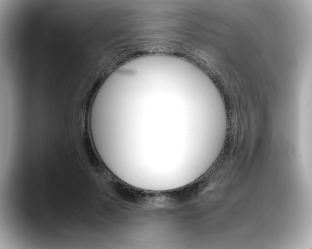 X0000088700695200705311016