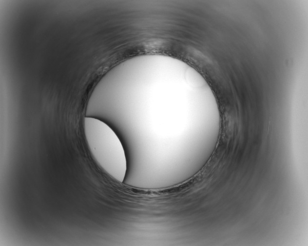 X0000088700698200705311016