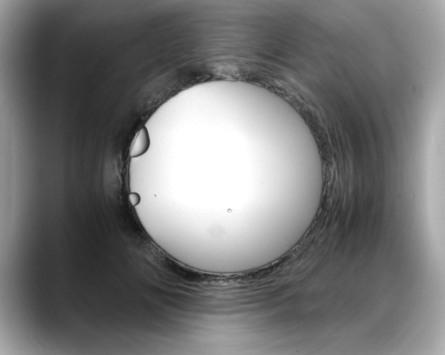 X0000088700702200705311016