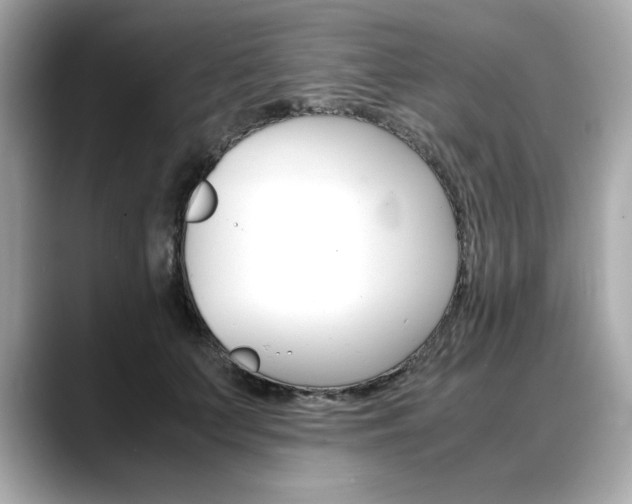 X0000088700703200705311016
