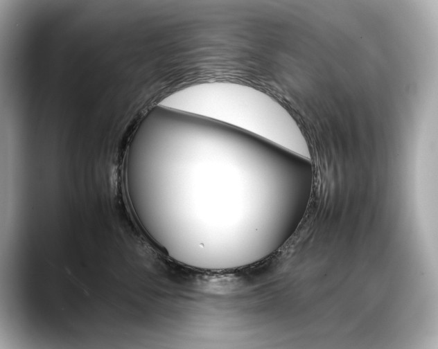 X0000088700716200705311016