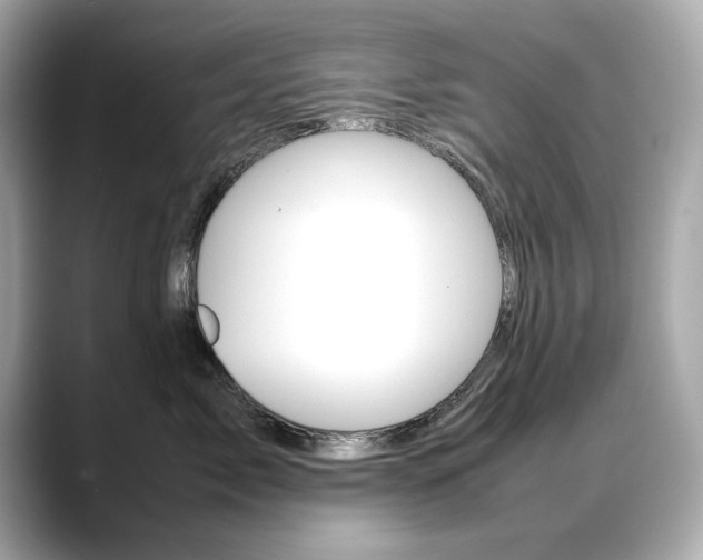 X0000088700717200705311016