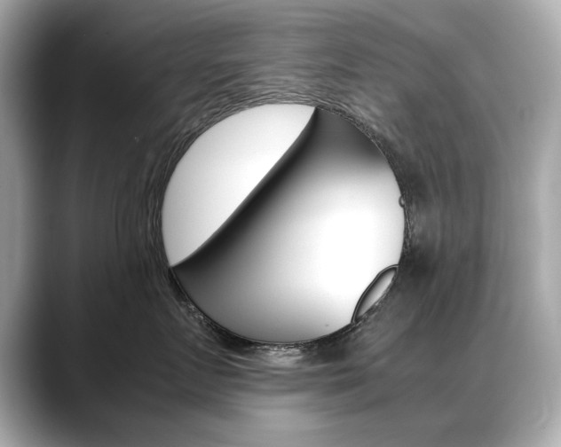 X0000088700719200705311016