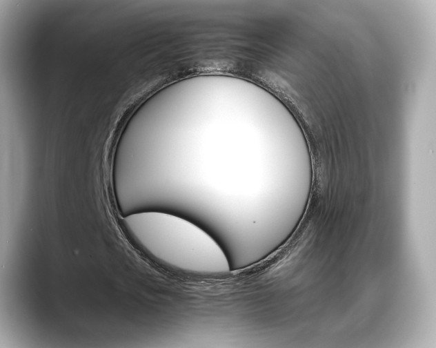 X0000088700721200705311015
