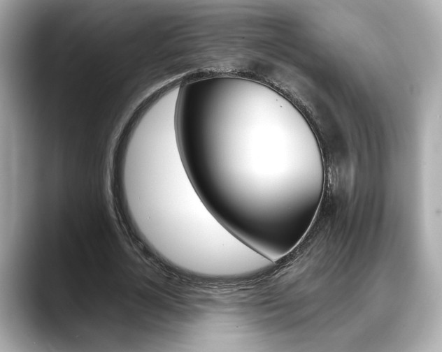 X0000088700724200705311015