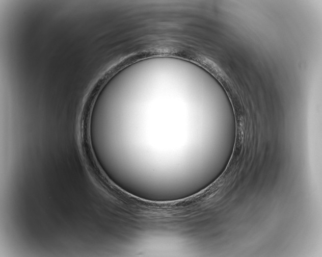 X0000088700726200705311015