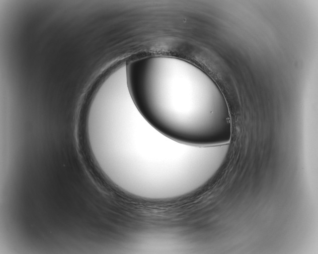 X0000088700728200705311015
