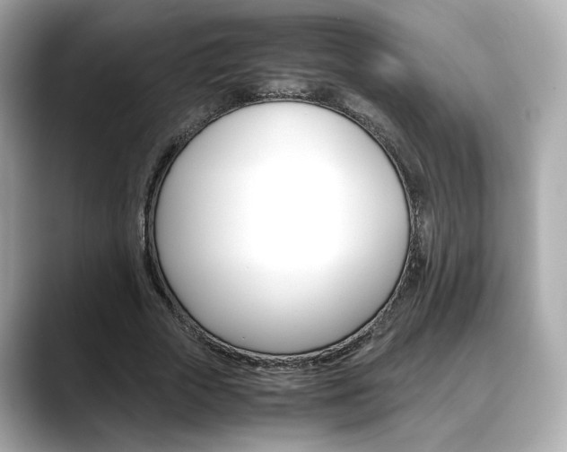 X0000088700729200705311015