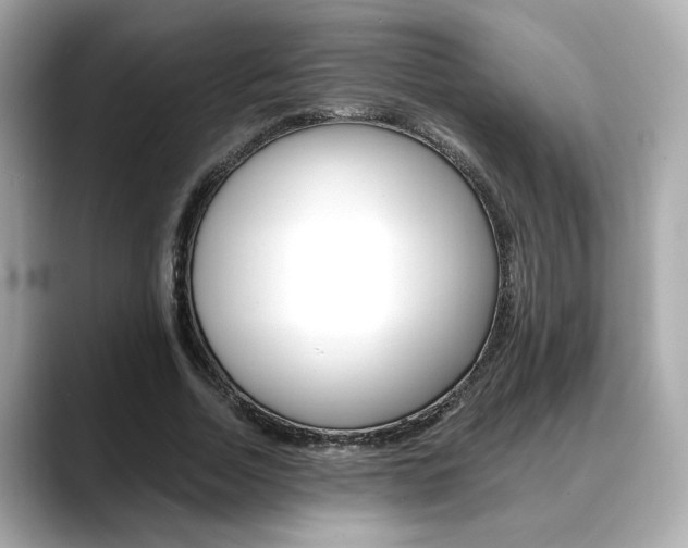 X0000088700730200705311015