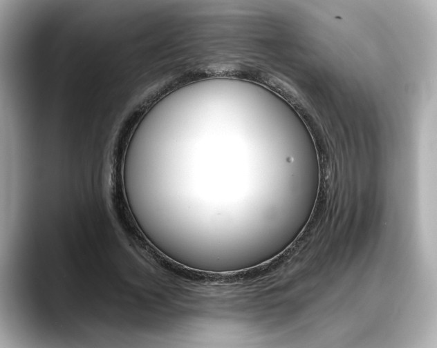 X0000088700732200705311016