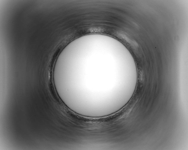 X0000088700733200705311016