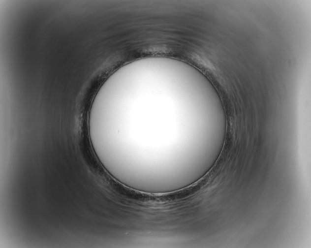 X0000088700735200705311016