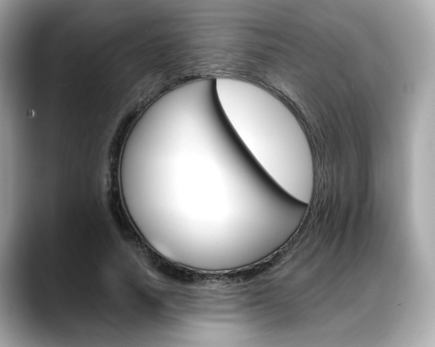 X0000088700738200705311016