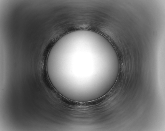 X0000088700739200705311016
